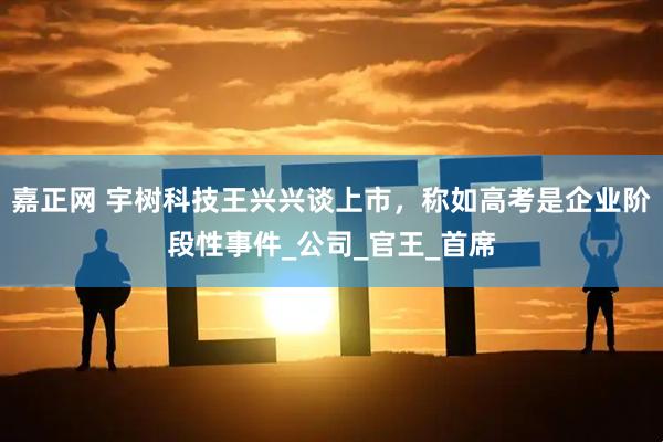 嘉正网 宇树科技王兴兴谈上市，称如高考是企业阶段性事件_公司_官王_首席