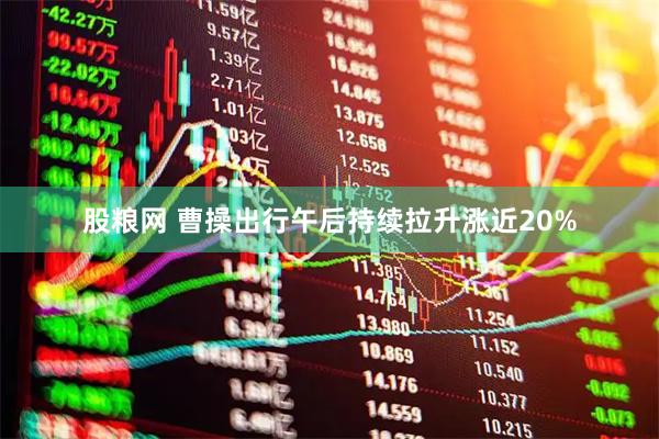 股粮网 曹操出行午后持续拉升涨近20%