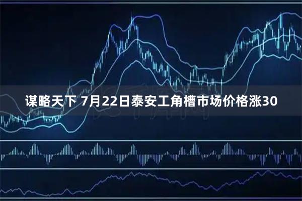 谋略天下 7月22日泰安工角槽市场价格涨30