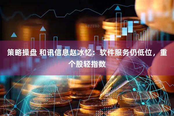 策略操盘 和讯信息赵冰忆：软件服务仍低位，重个股轻指数