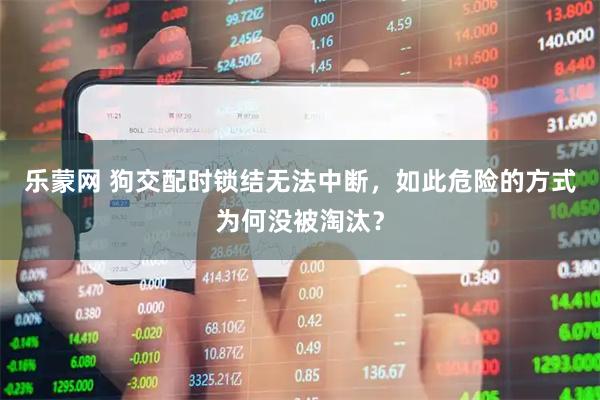乐蒙网 狗交配时锁结无法中断，如此危险的方式为何没被淘汰？